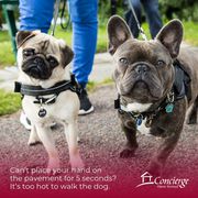 Pet Sitting Service Ottawa | Cat & Dog Sitting Near Me