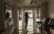  Best Mold Remediation Company Brandon