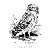 Custom Websites For Only $129.99 - Start Your New Business Today!