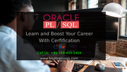 Oracle Fundamentals and PL SQL for beginners Online Training