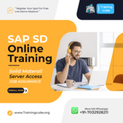 SAP SD Online Course