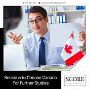 Seek Professional Help for Your Student Visa Application