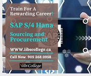 S/4 HANA Sourcing and Procurement Certification Training 