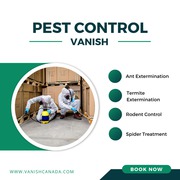 Wildlife removal Toronto | vanishcanada.com