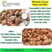 coconut business in tamilnadu