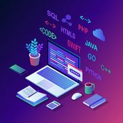 Turtle International - Software development  services
