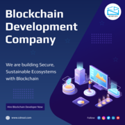  Choose CDN Mobile Solutions For Your Blockchain Solutions