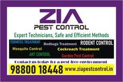 Save 20% Off on General pest Control Services | Affordable Pest Control