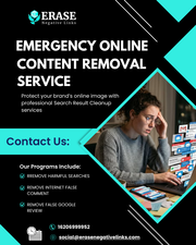 Montreal Harmful Content Removal Experts