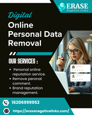 Remove Personal Data from the Internet