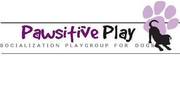 FREE DOG PLAY GROUP IN CALGARY